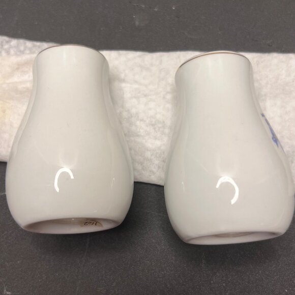Vintage Alaska State Flower Forget-Me-Not Porcelain Salt & Pepper Shakers - Picture 4 of 10